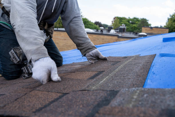 Best Roof Moss and Algae Removal  in Los Gatos, CA